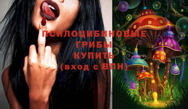 2c-b Абинск