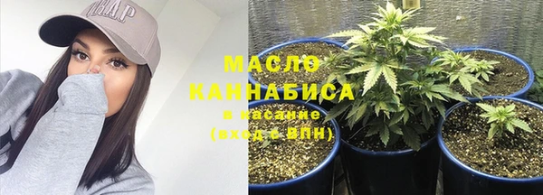 сатива Абаза