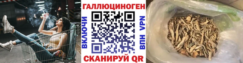 Галлюциногенные грибы прущие грибы  магазин  наркотиков  Дальнереченск 